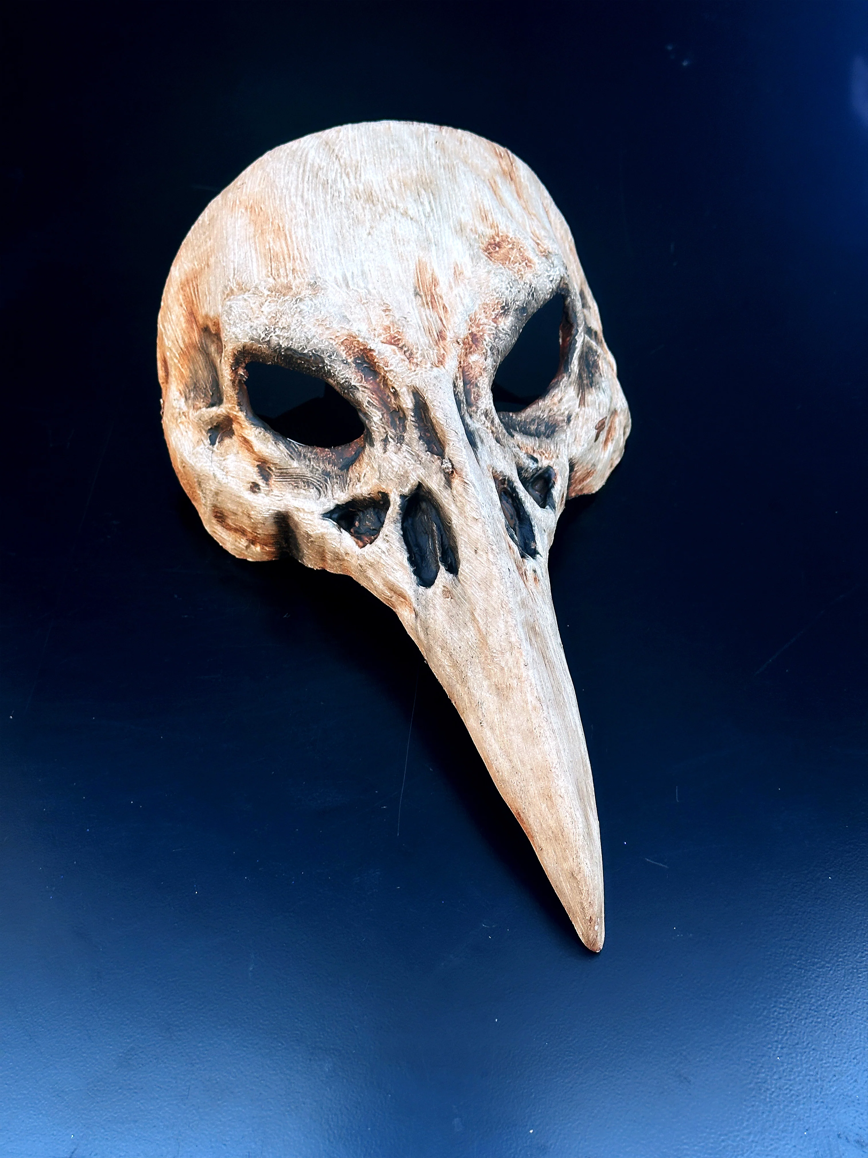 Crow Plague Skull - Natural Bone