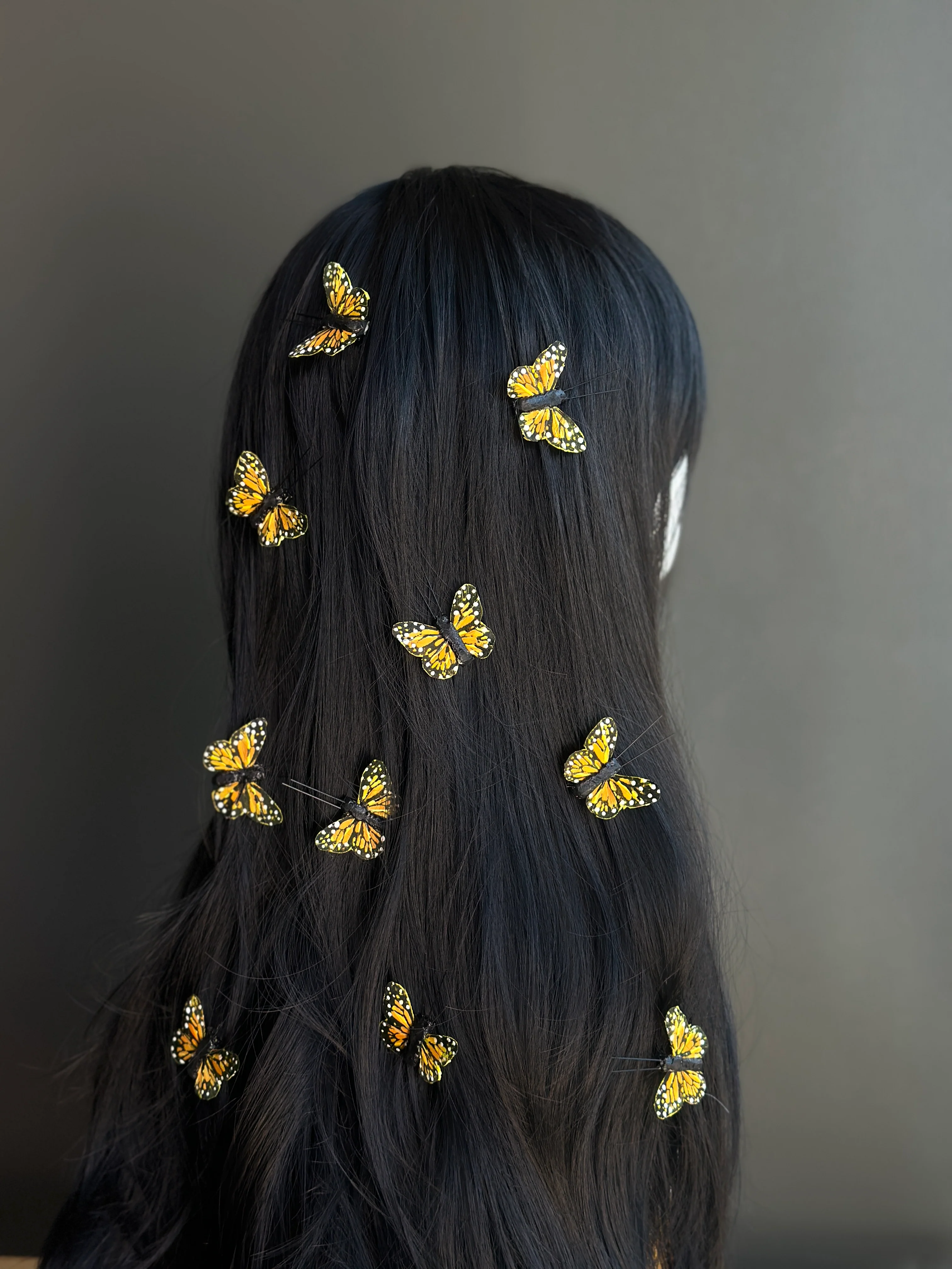 Butterfly Hair Clips - Set - Image 3