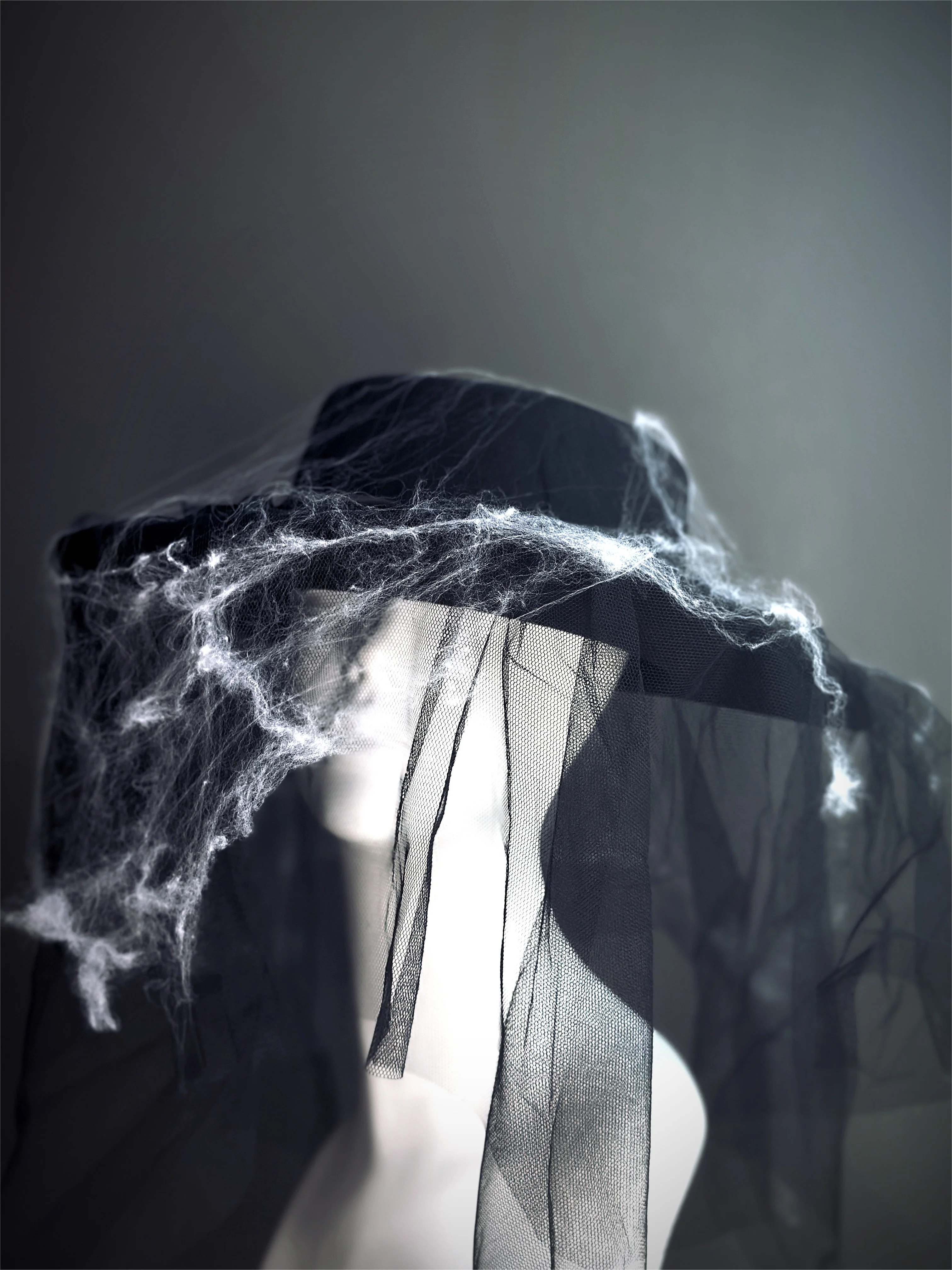 Webbed Wonder - Halloween Black Veil Hat